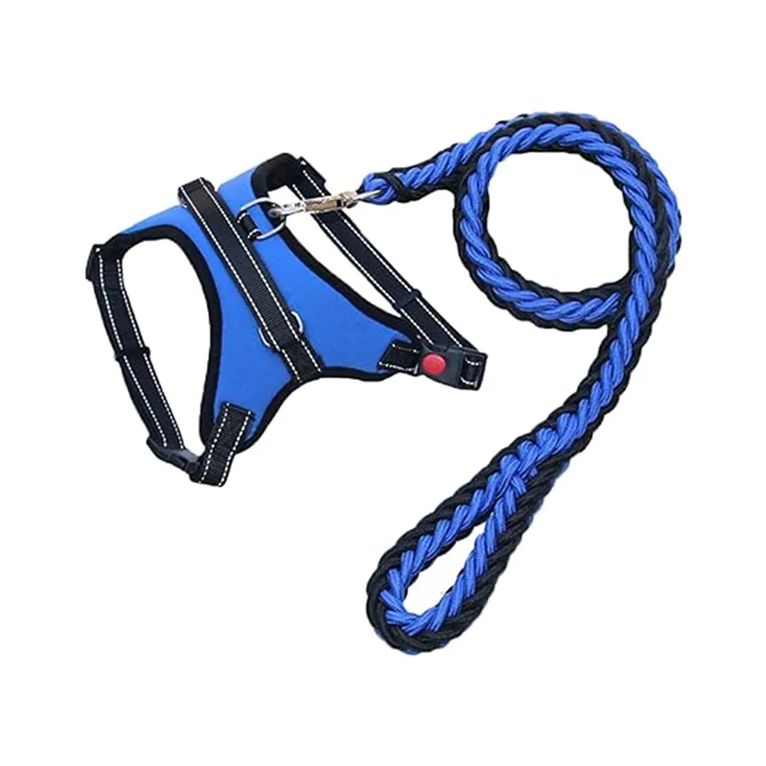 Reflective Dog Leash and Harness Set