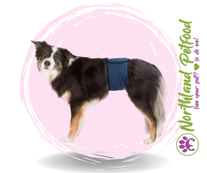 SALE 25% OFF -- Belly Bands for Male Dogs