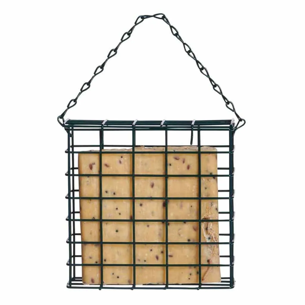 Supa Suet Block Feeder For Wild Birds | Hang Or Mount To A Fence Or Wall