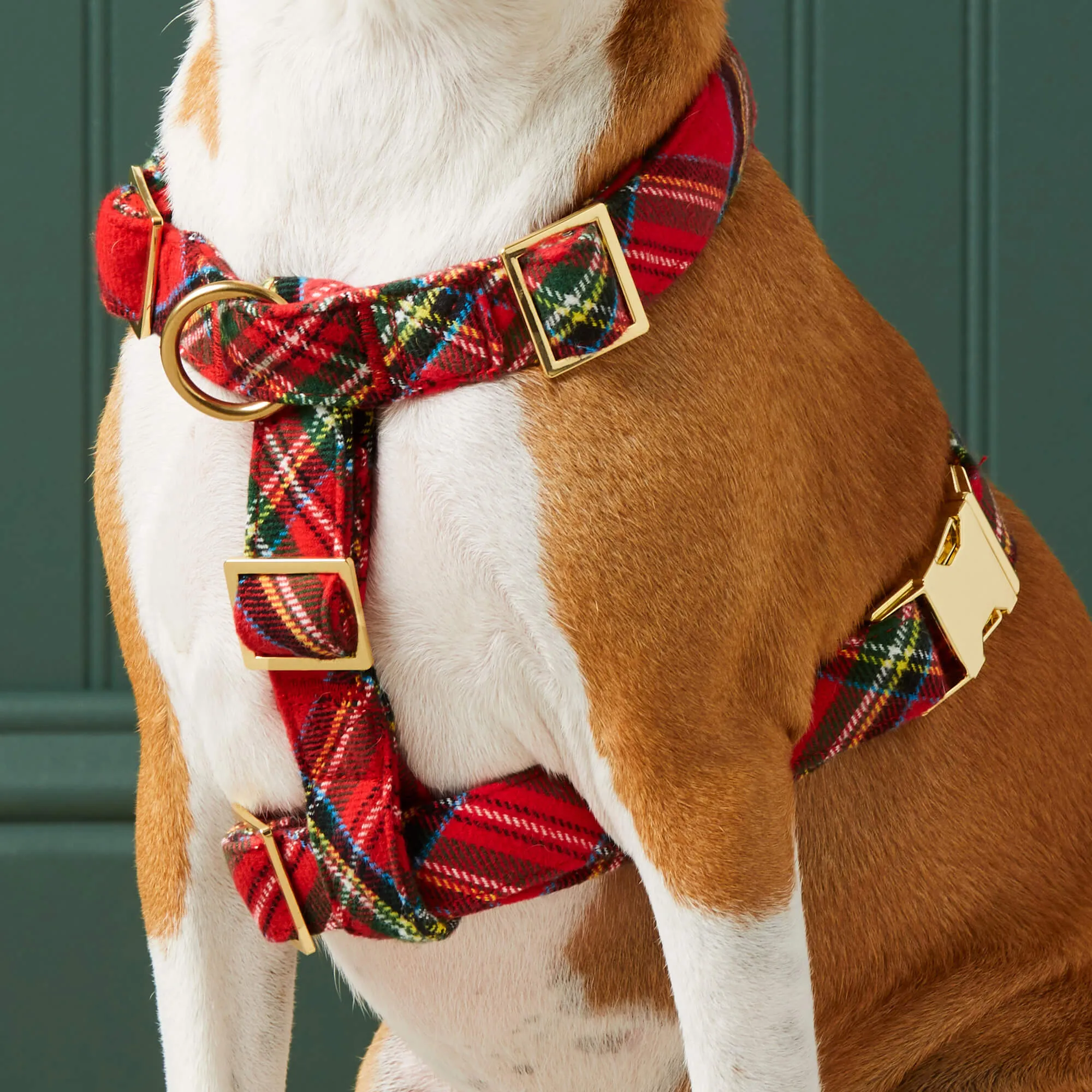 Tartan Plaid Flannel Dog Harness