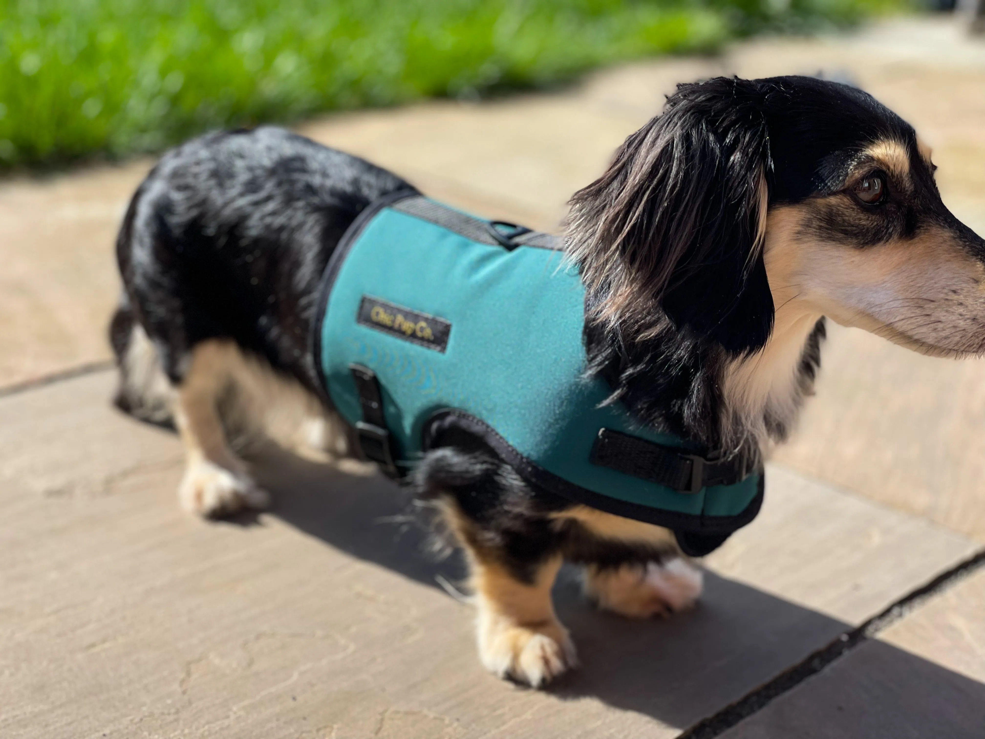 Waterproof No Rub Harness