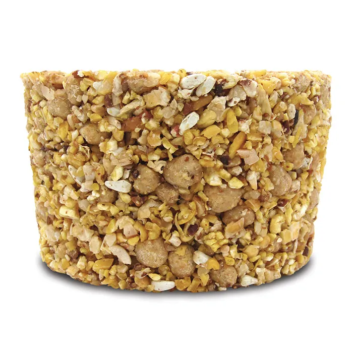 Woodpecker Snak™ with Peanut Nuggets™ Stak'em, Set of 4